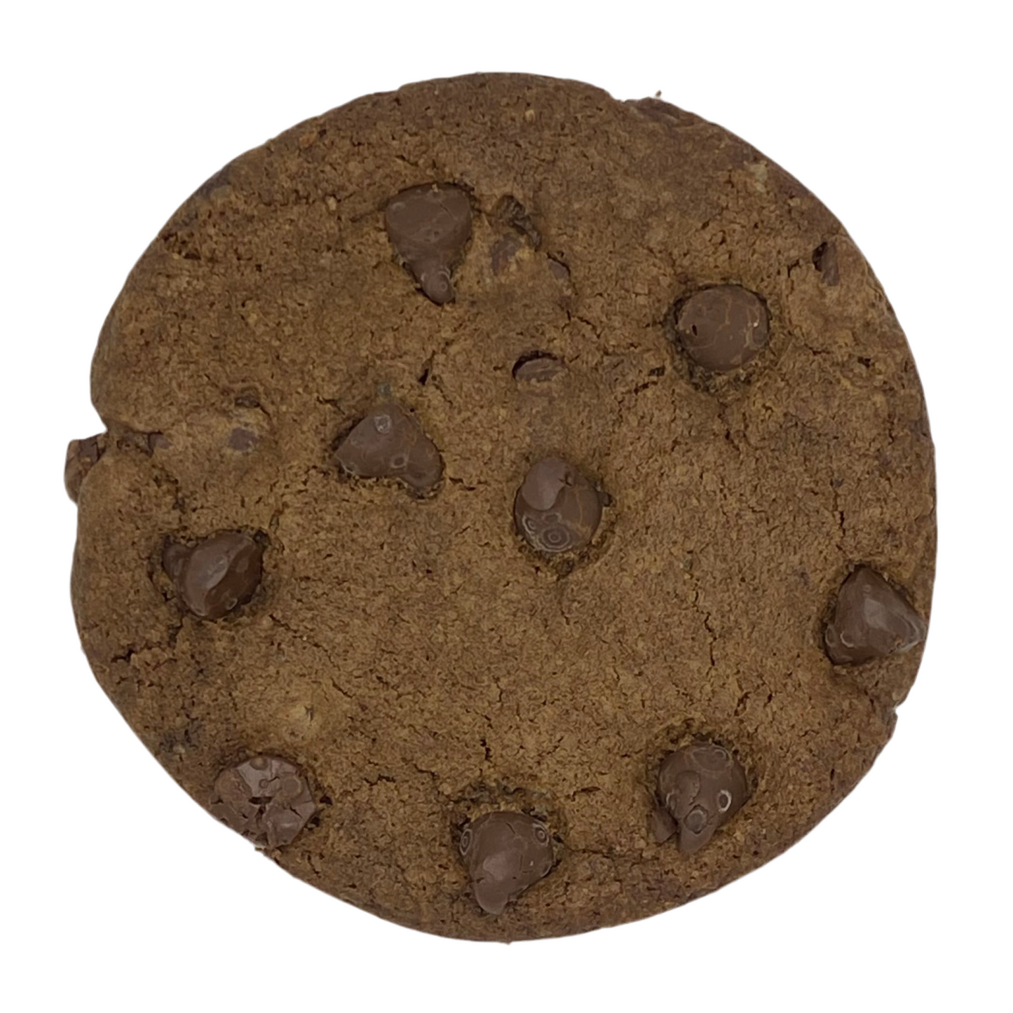 GALLETA DOBLE CHOCOLATE